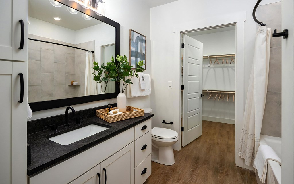 Upgraded Bathroom with Frameless Walk-In Shower & Designer Finishes