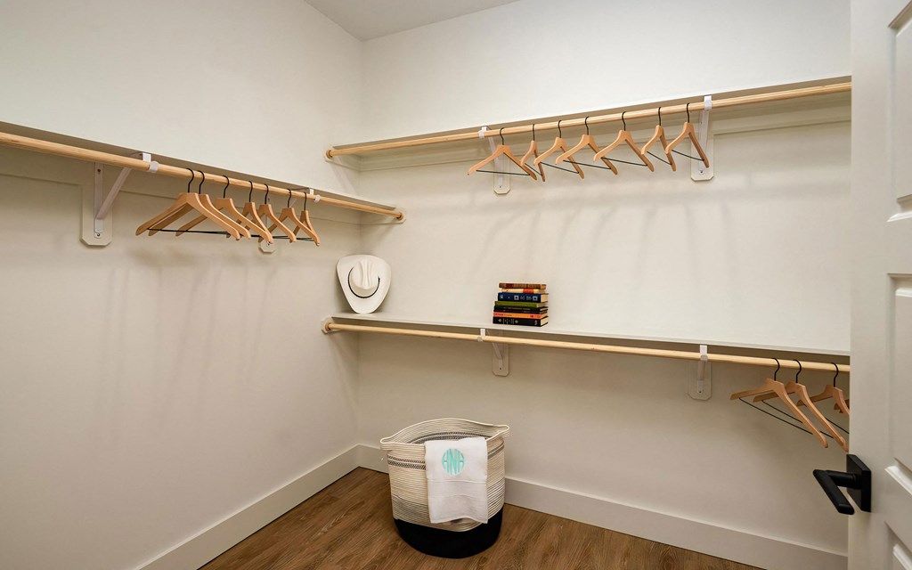 Spacious Walk-In Closet with Built-In Racks and Wood-Style Flooring