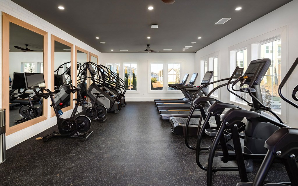 Cardio Room Featuring Bikes, Ellipticals, Treadmills, and Step Machines