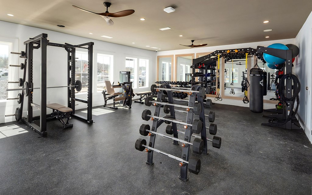 Fitness Zone Equipped with Boxing Bag, Kettlebells, and TRX System