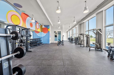 Fitness floor with barbell racks and dumbbells under a bright circle mural, with machines along the windows beyond.
