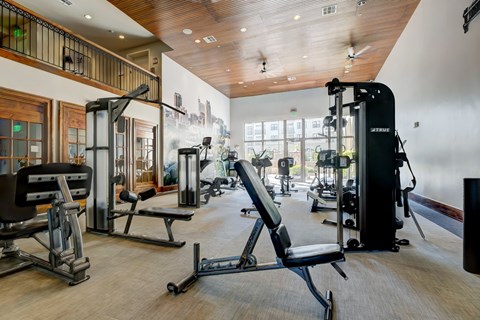 A gym with a variety of equipment including treadmills, weights, and benches.