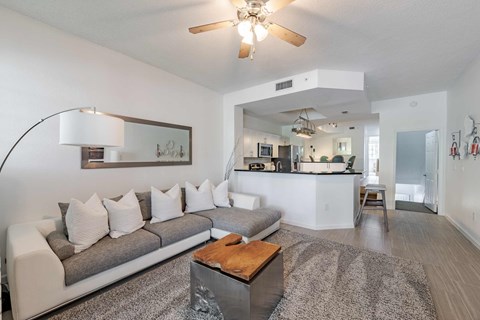 A living room with a grey couch and a wooden coffee table.