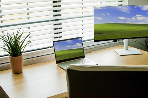 A laptop and a monitor are on a desk with a plant beside them.
