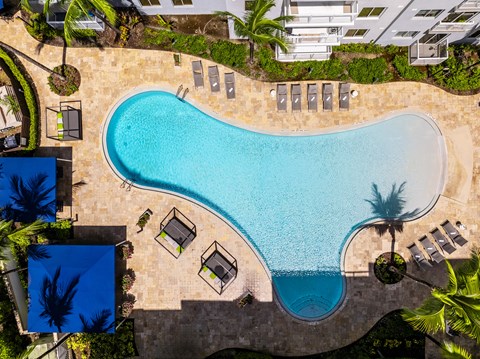 A large swimming pool surrounded by palm trees and lounge chairs.