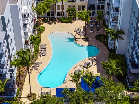 A swimming pool surrounded by palm trees and lounge chairs.