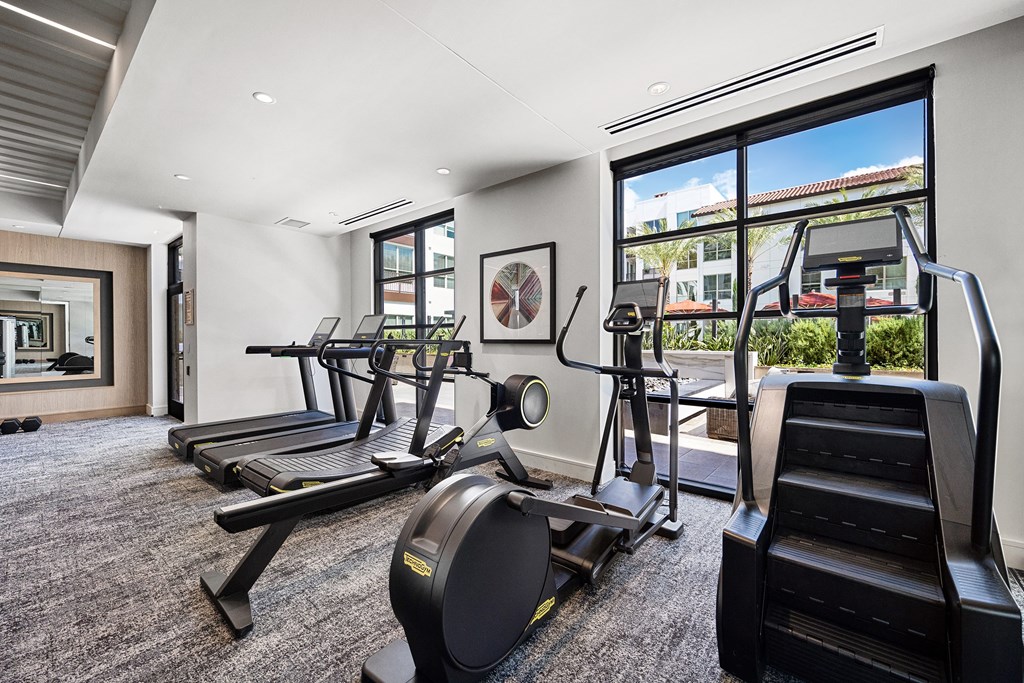 Cardio zone with treadmills, ellipticals, and stair climber framed by floor-to-ceiling windows for an inspiring view