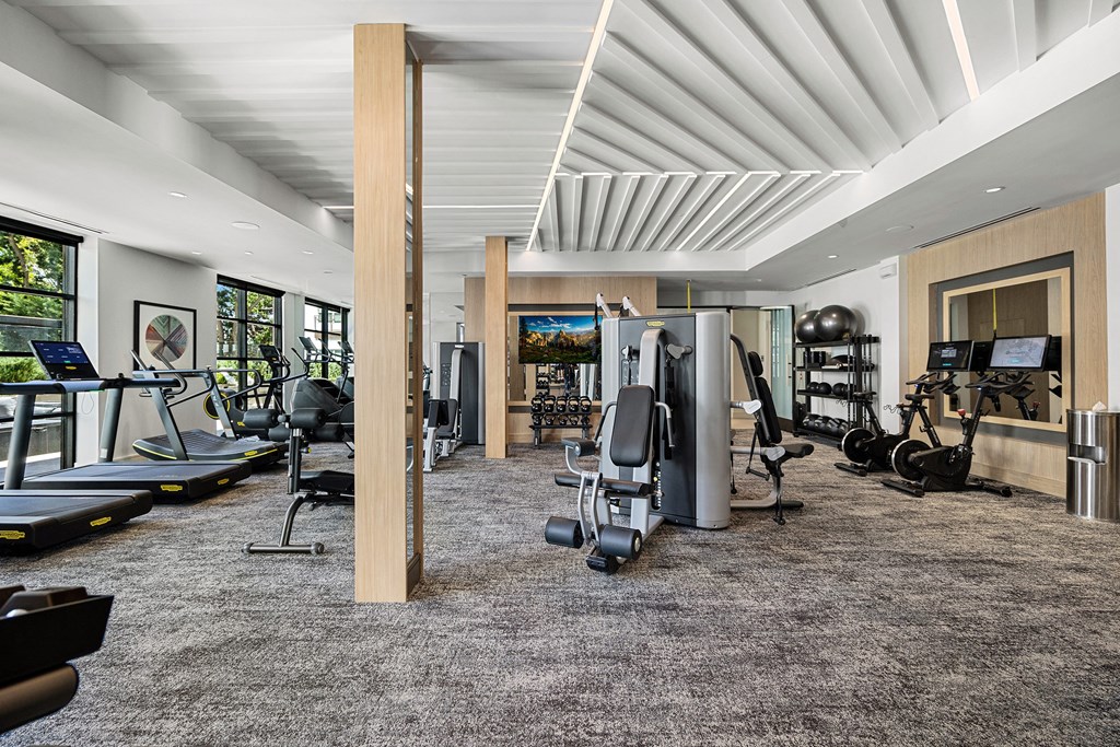 Expansive fitness center offering state-of-the-art machines, free weights, and open space to energize your routine