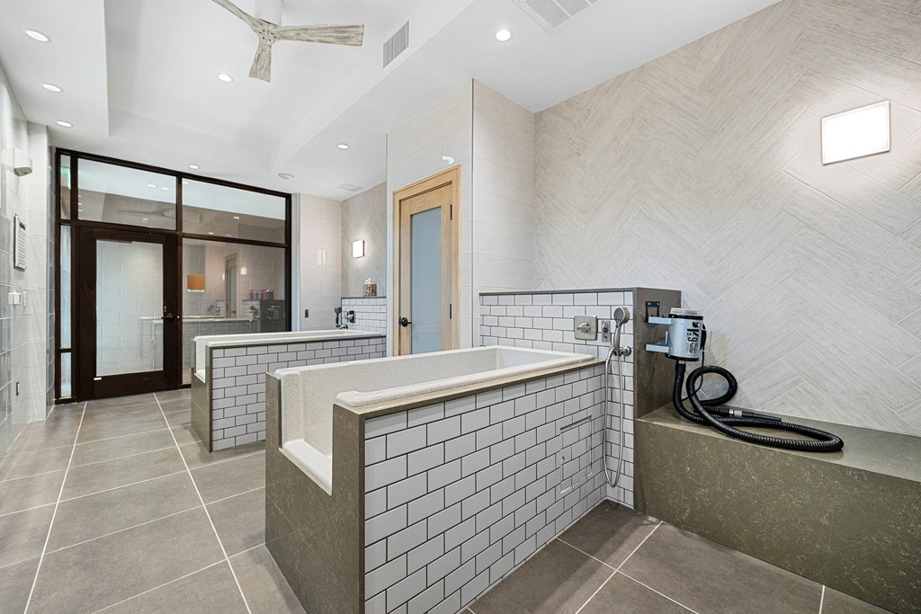 Spacious pet spa with multiple wash stations and built-in grooming amenities