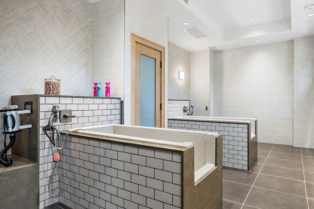 Modern pet washing room with elevated grooming tubs and durable tile finishes