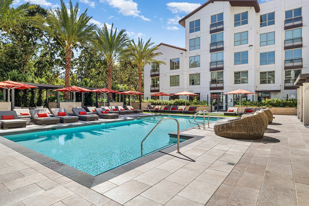 Resort-style swimming pool with cushioned loungers, vibrant umbrellas, and palm trees for a true vacation vibe