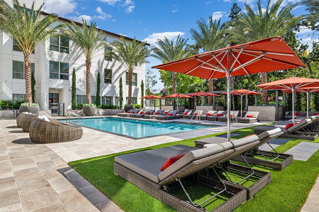Palm-lined pool with vibrant umbrellas, plush loungers, and resort-style ambiance