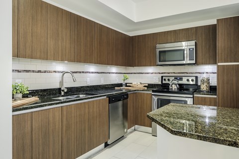Large Kitchens Connecting to Living and Dining Areas