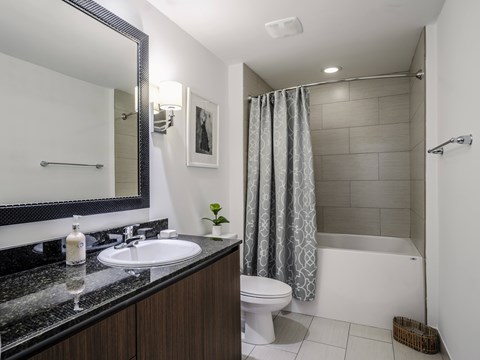 Spa Inspired Bathrooms with Large Tubs