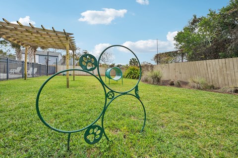 Dog park