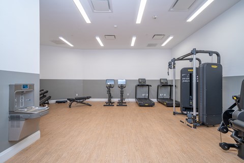 Fitness center with cardio and strength equipment at Port & Main Apartments, Port Chester