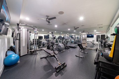 Fully equipped fitness center with cardio machines and weights at 163 Franklin Street Apartments, Stamford, CT