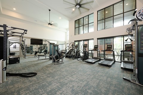 A gym with treadmills, weights, and exercise equipment.