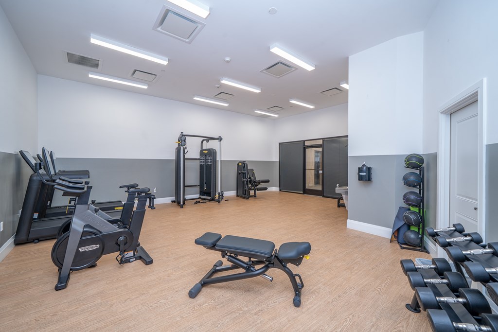 A gym with a variety of equipment including treadmills, weights, and a bench.