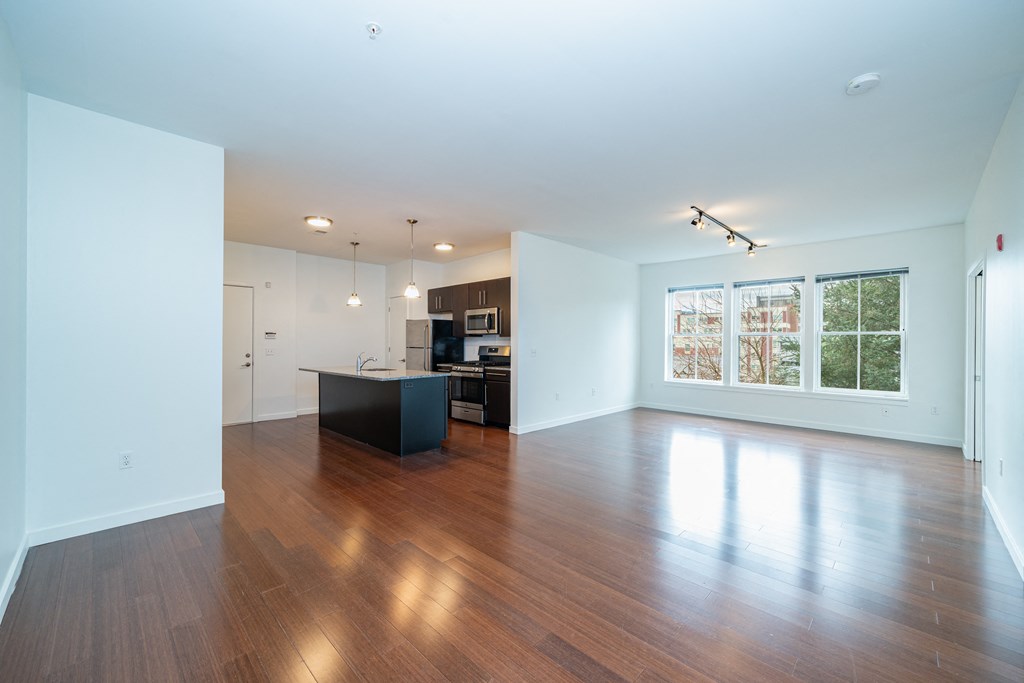 Kitchen and living room
