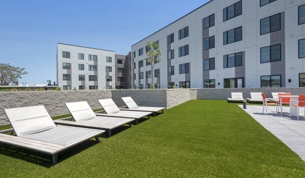 A row of sun loungers are placed on a lawn in front of a building.