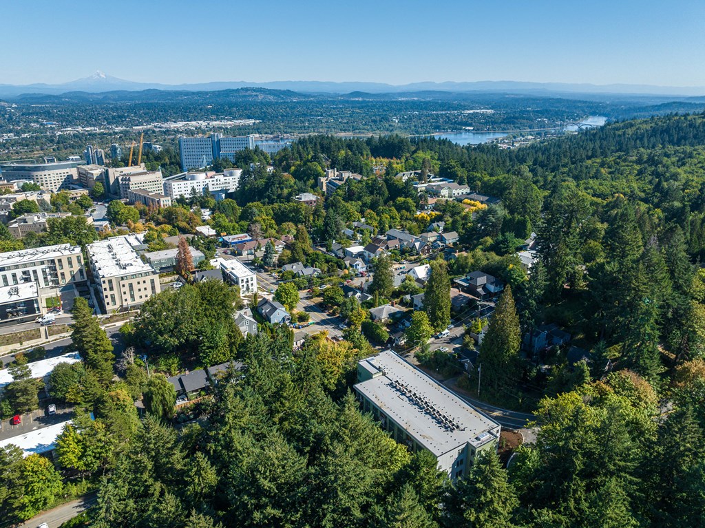 an aerial view of a city with trees and buildings