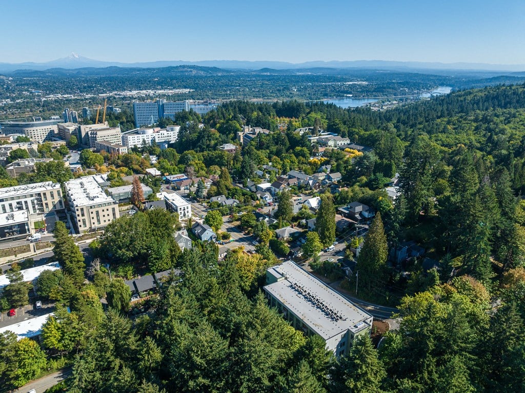 an aerial view of a city with trees and buildings