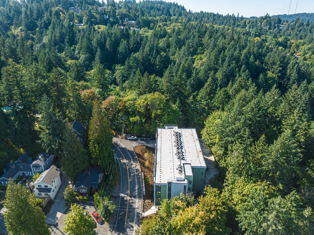 arial view of a building surrounded by trees