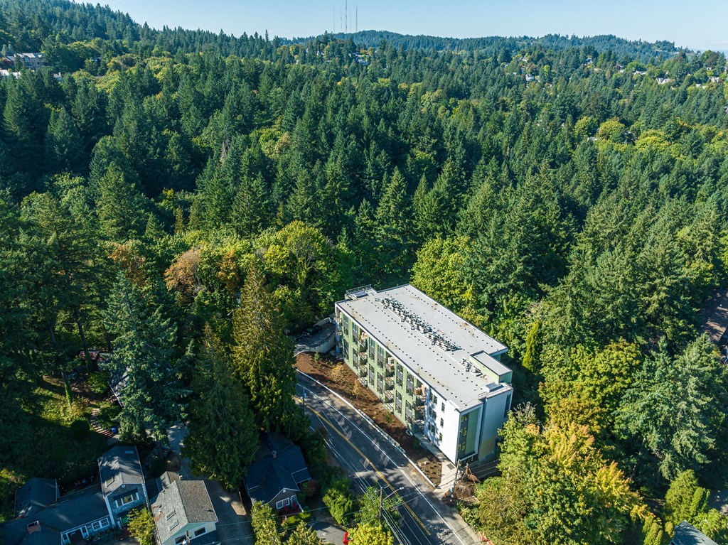 an aerial view of a building in the middle of a forest