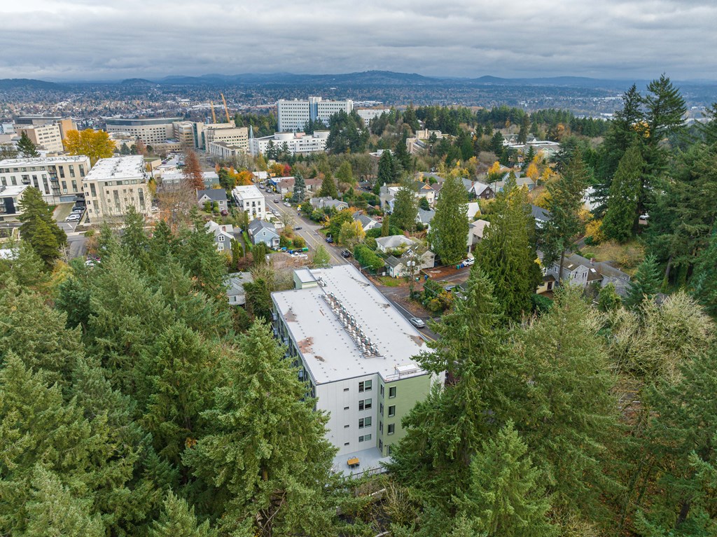 a view of a city from a tree covered hill