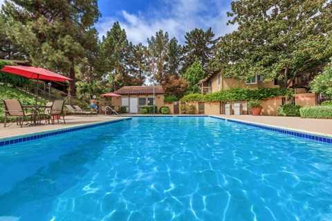 A swimming pool surrounded by trees and a house.