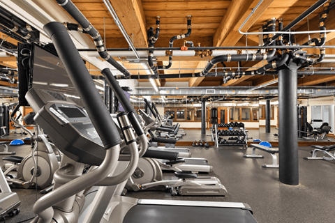 A gym with treadmills and other exercise equipment.