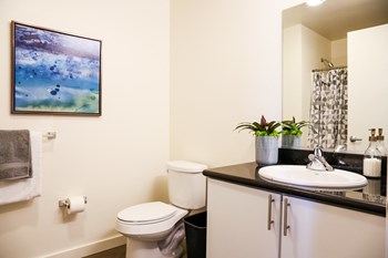 Bathroom - Photo Gallery 6