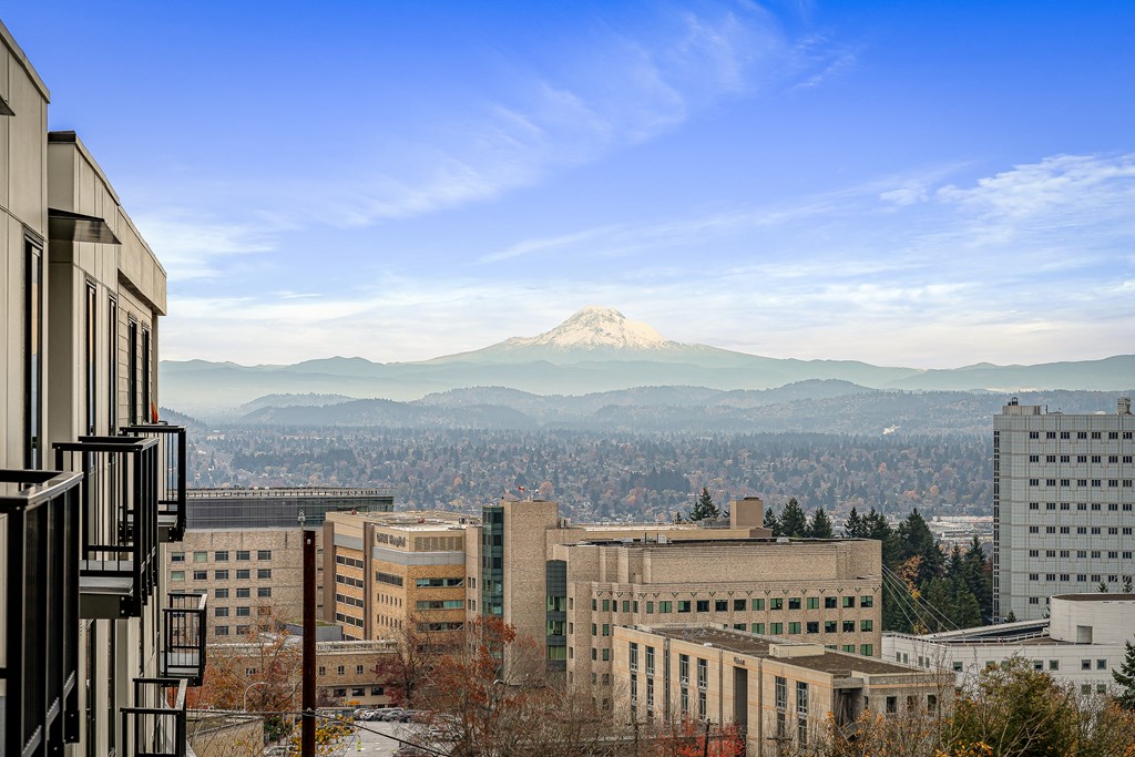 a view of mount fuji from the university of tokyo