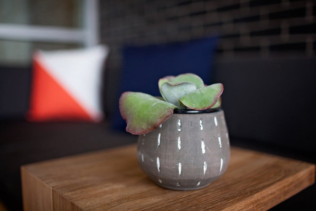 Decor detail small planter