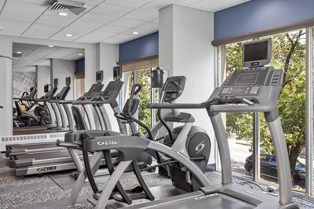a row of treadmills and exercise machines in a fitness room