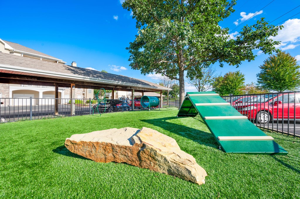 the reserve at bucklin hill dog park