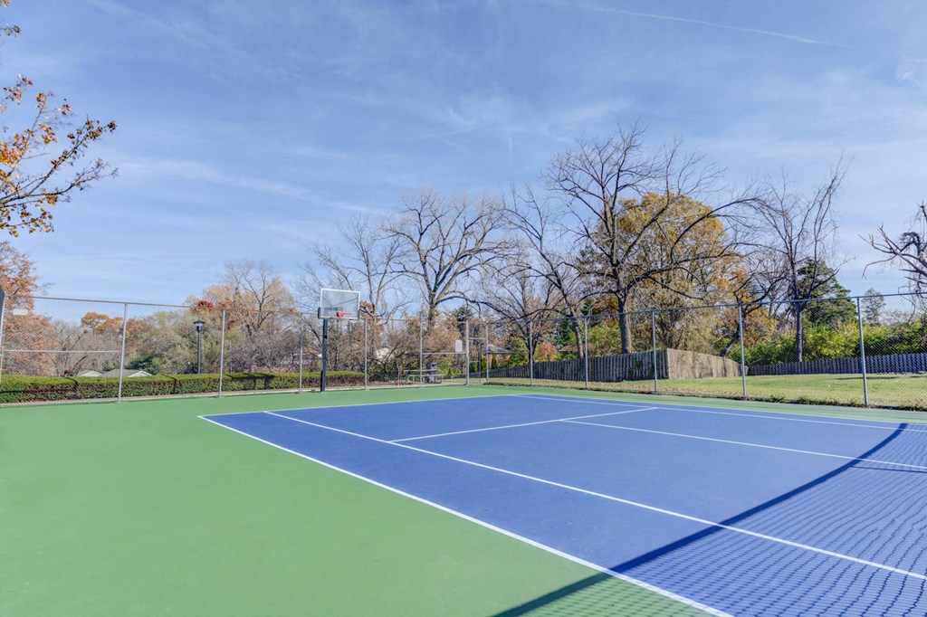 a tennis court with a fence and trees in the background