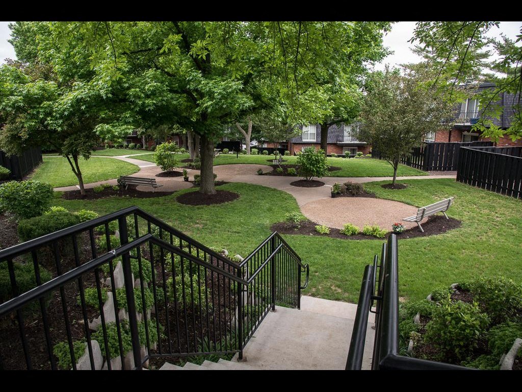a view of a park with trees and benches