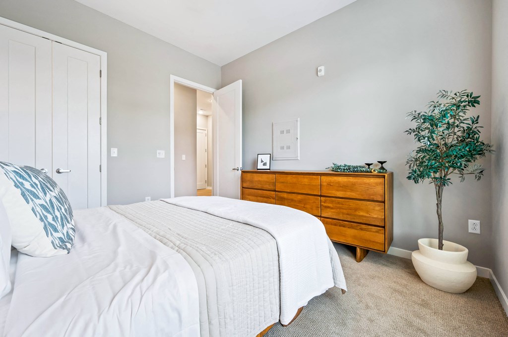 a bedroom with a bed and a dresser and a plant