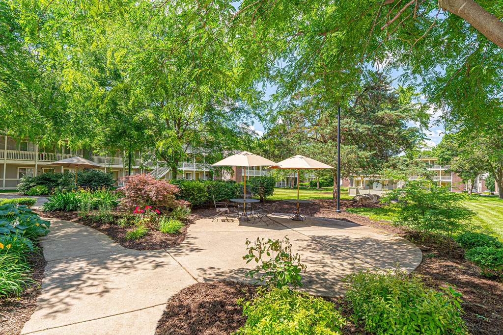 a patio with umbrellas in a park with trees