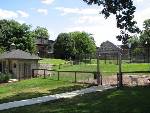 a park with a fenced in area and a dog