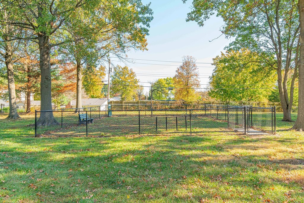 a fenced in dog park with trees and a fence