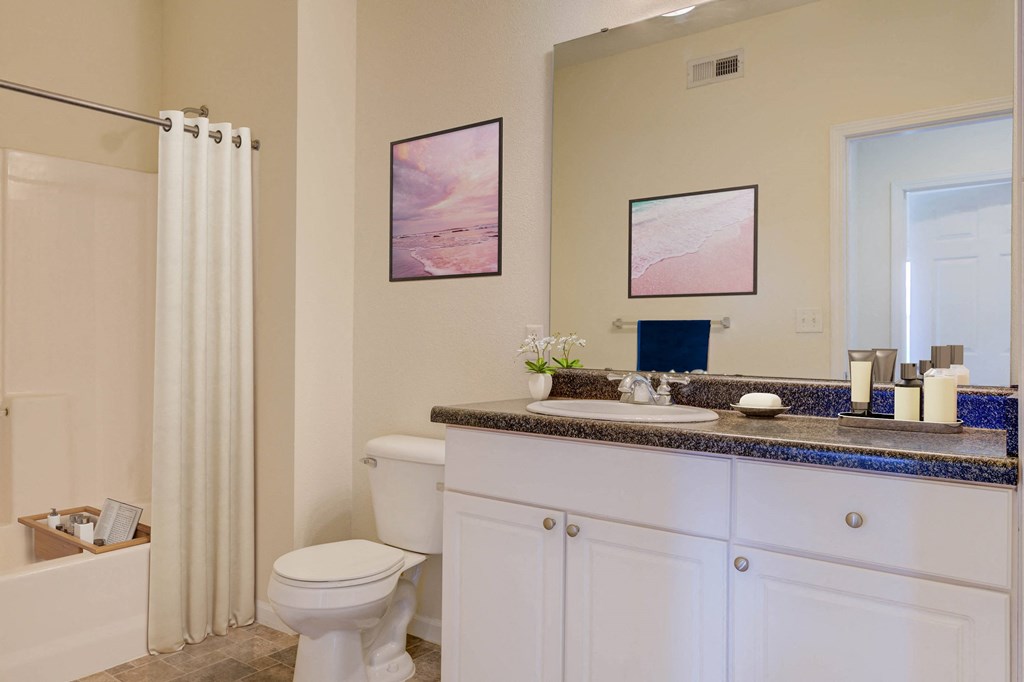 a bathroom with a sink and a toilet and a shower