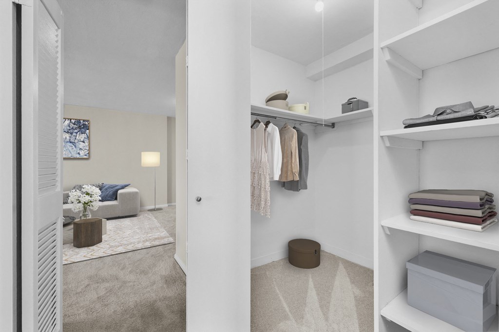a walk in closet with shelving and a living room with a couch