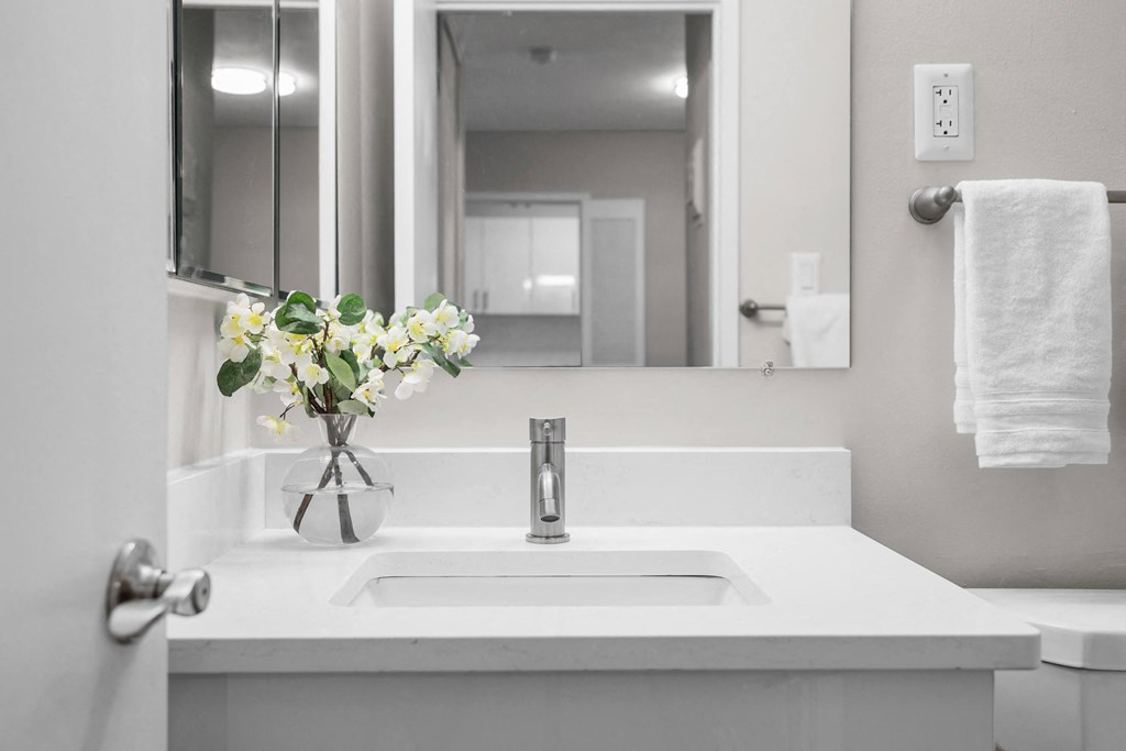 a bathroom with a sink and a mirror