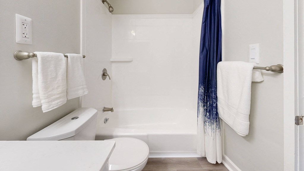 a bathroom with a toilet and a bathtub