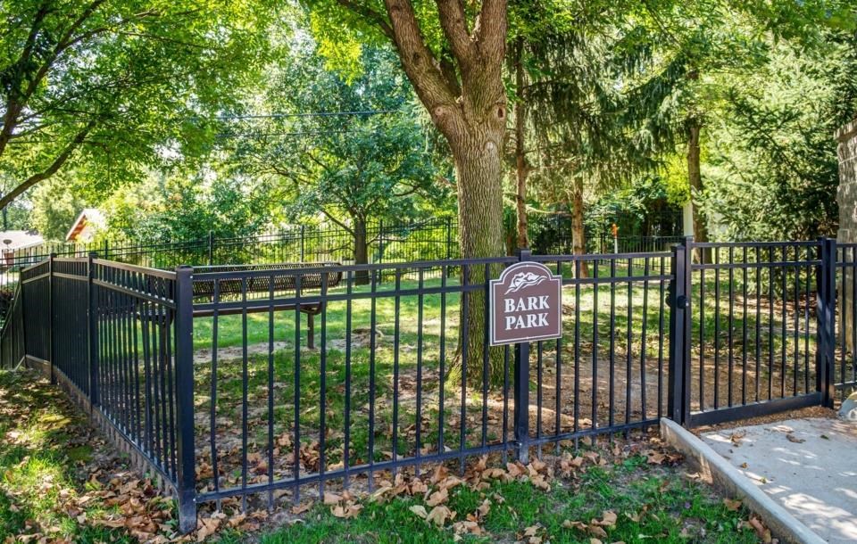 a park with a fence and a tree