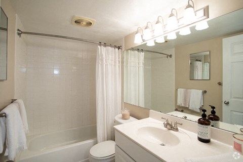 a bathroom with a sink and a tub and a mirror