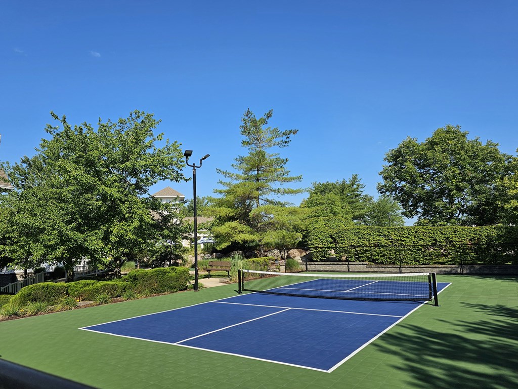 a blue and green tennis court with trees in the background